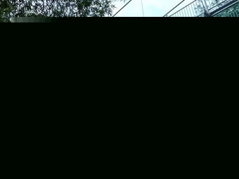 苗木要保暖草繩賣得歡