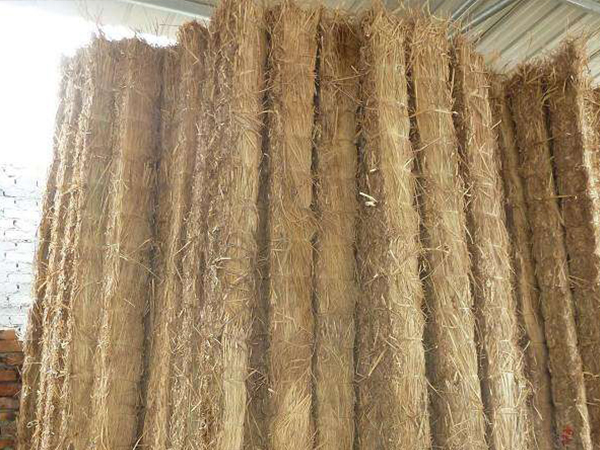 草棒制作流程大揭秘！