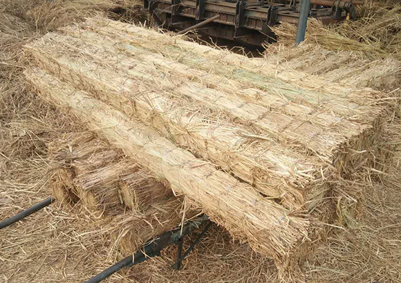 條形草支墊 條形草支墊